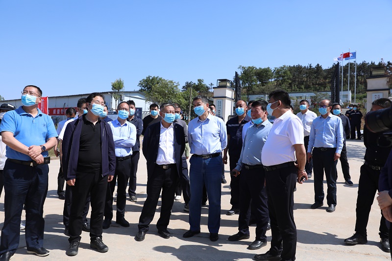 1652864084972.jpg mmexport1652837645827.jpg